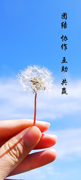在线留言